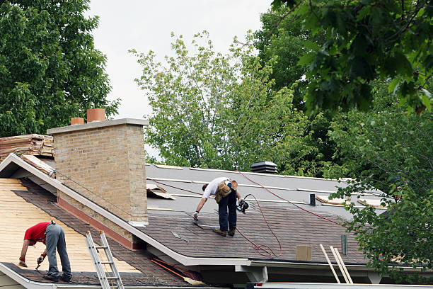 Best Roof Gutter Cleaning  in Milton, WI